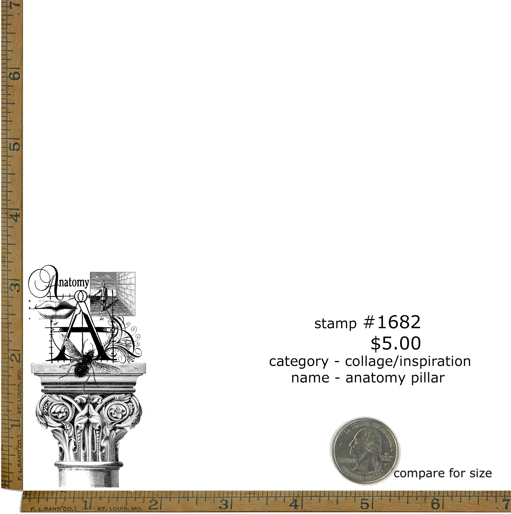 #1682 - Anatomy Pillar - Collage/Inspiration